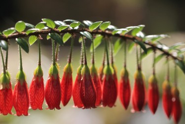 珠海金湾区私人快速借钱网，轻松解决资金难题