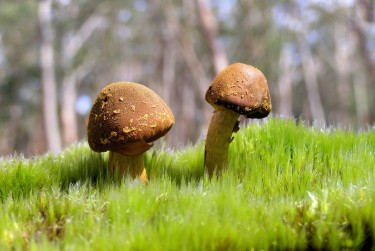 珠海金湾区私人老板放款：轻松融资的秘密通道